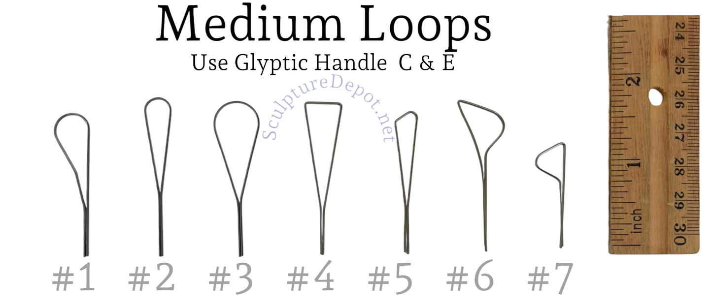 Glyptic- Medium Loops *CURRENTLY ON SALE 15% OFF UNTIL 12/31/25* PRICE SHOWN IN CART