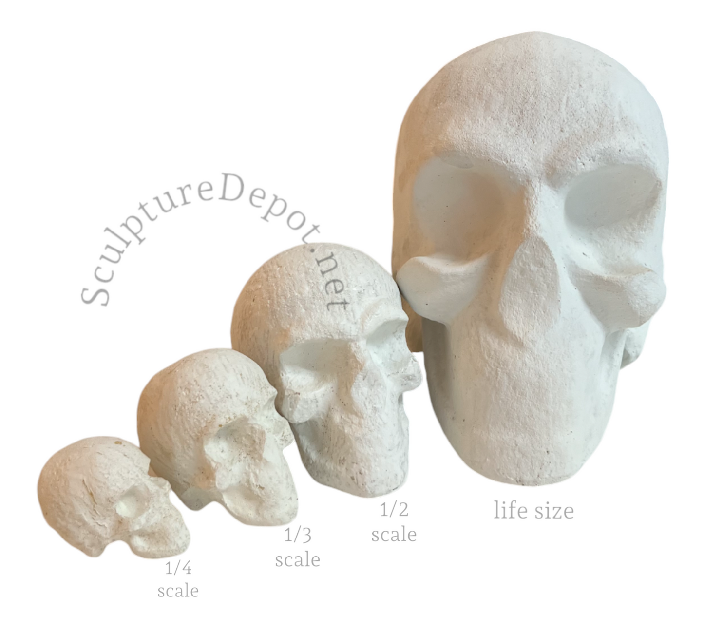 Skull- TruForm *CURRENTLY ON SALE 15% OFF UNTIL 12/31/25* PRICE SHOWN IN CART
