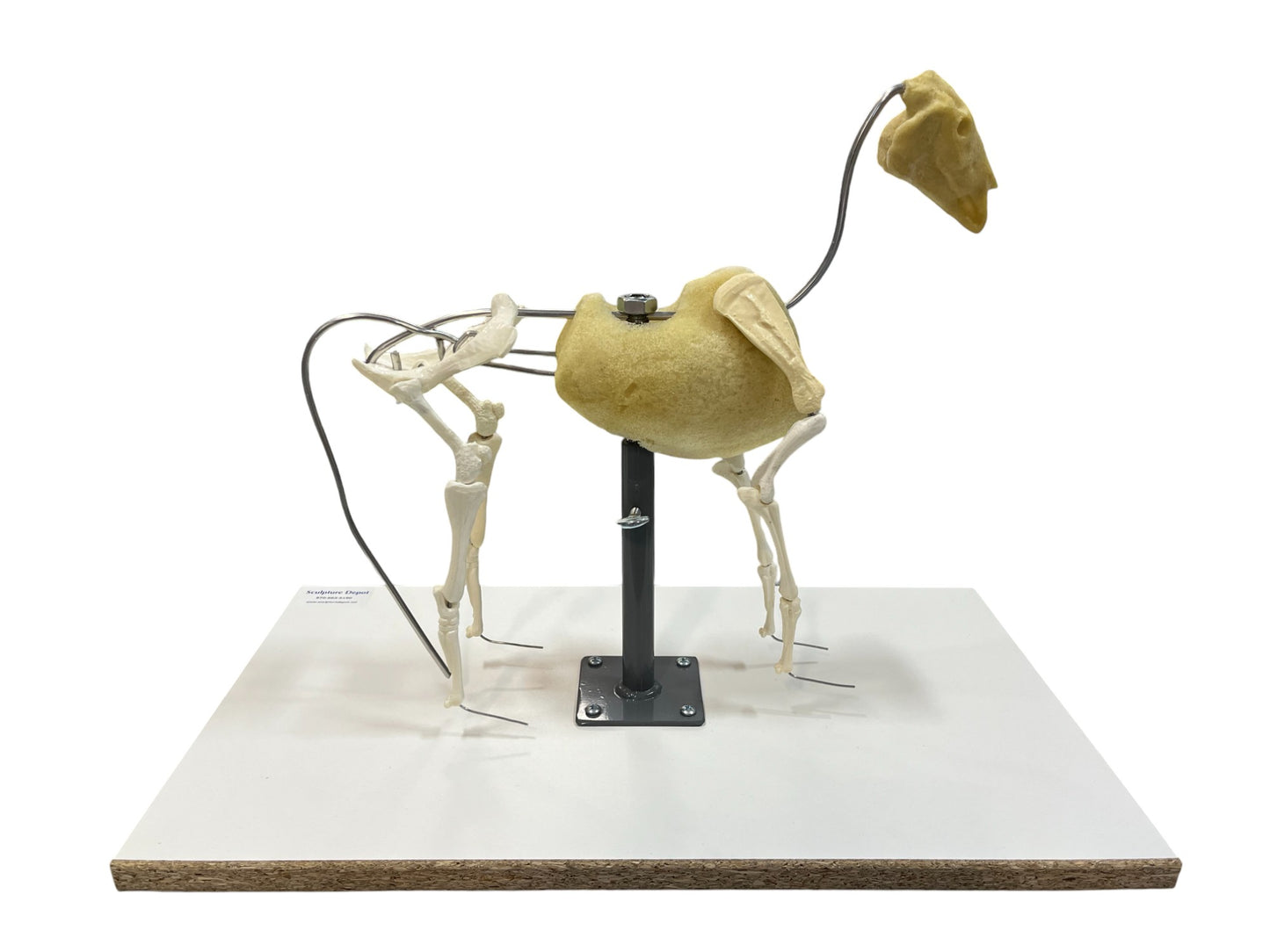 Horse Armature (System)- TruForm