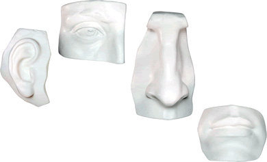 Facial Castings- Plaster