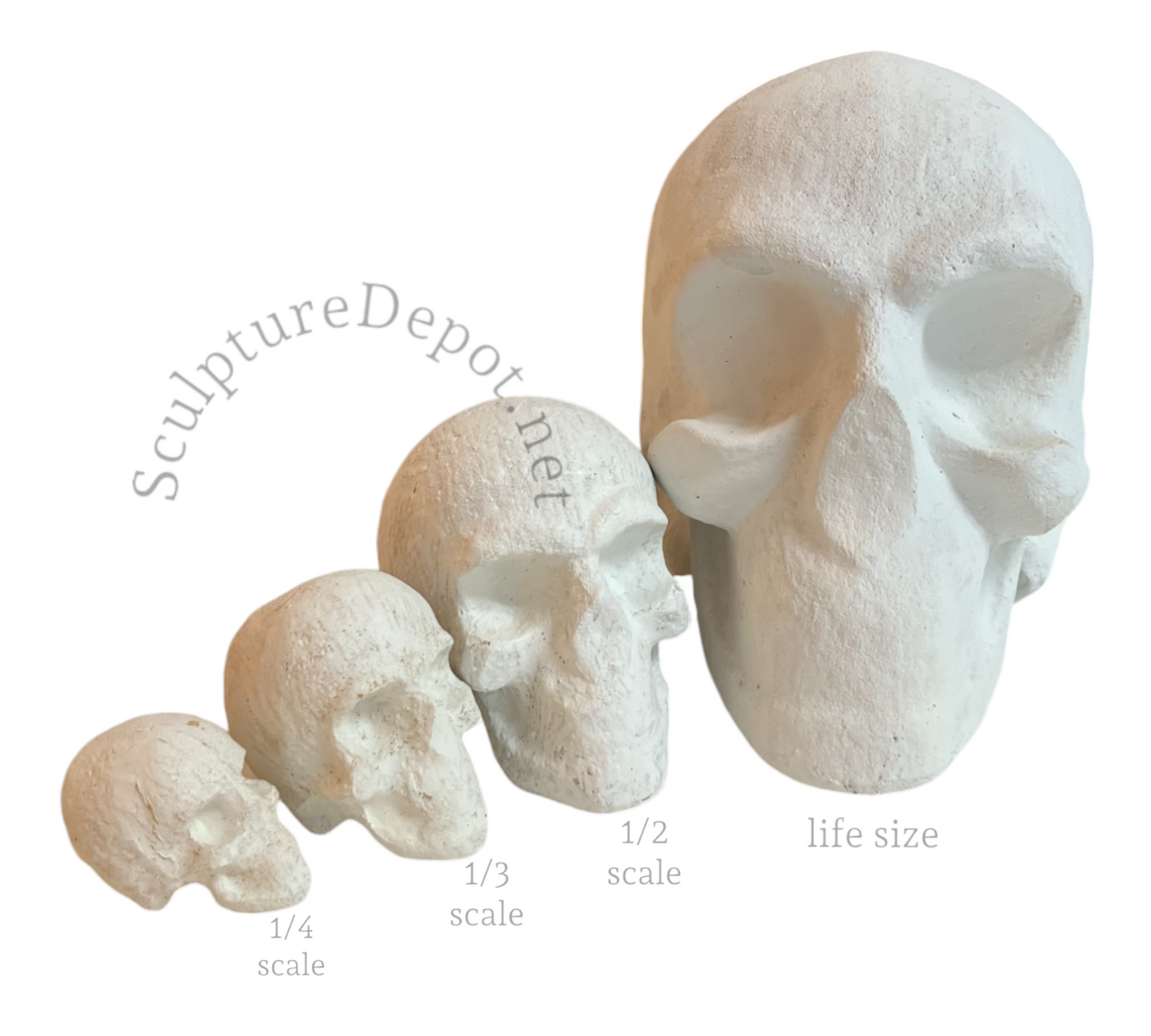 Skull- TruForm