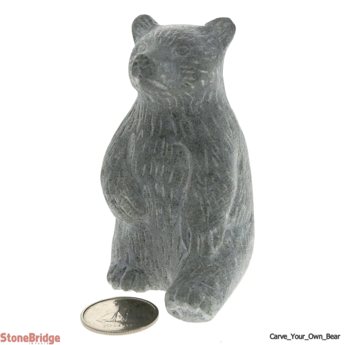 Soapstone Carving Kit-Animal